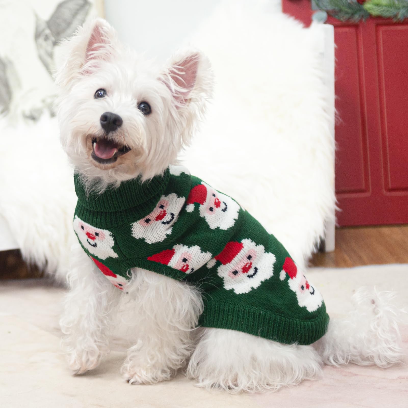SCIROKKO dog sweater model wearing demonstrates festive winter style