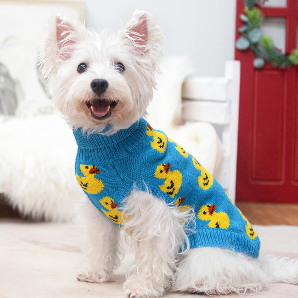 SCIROKKO dog sweater worn on dog shows cute duck design appeal