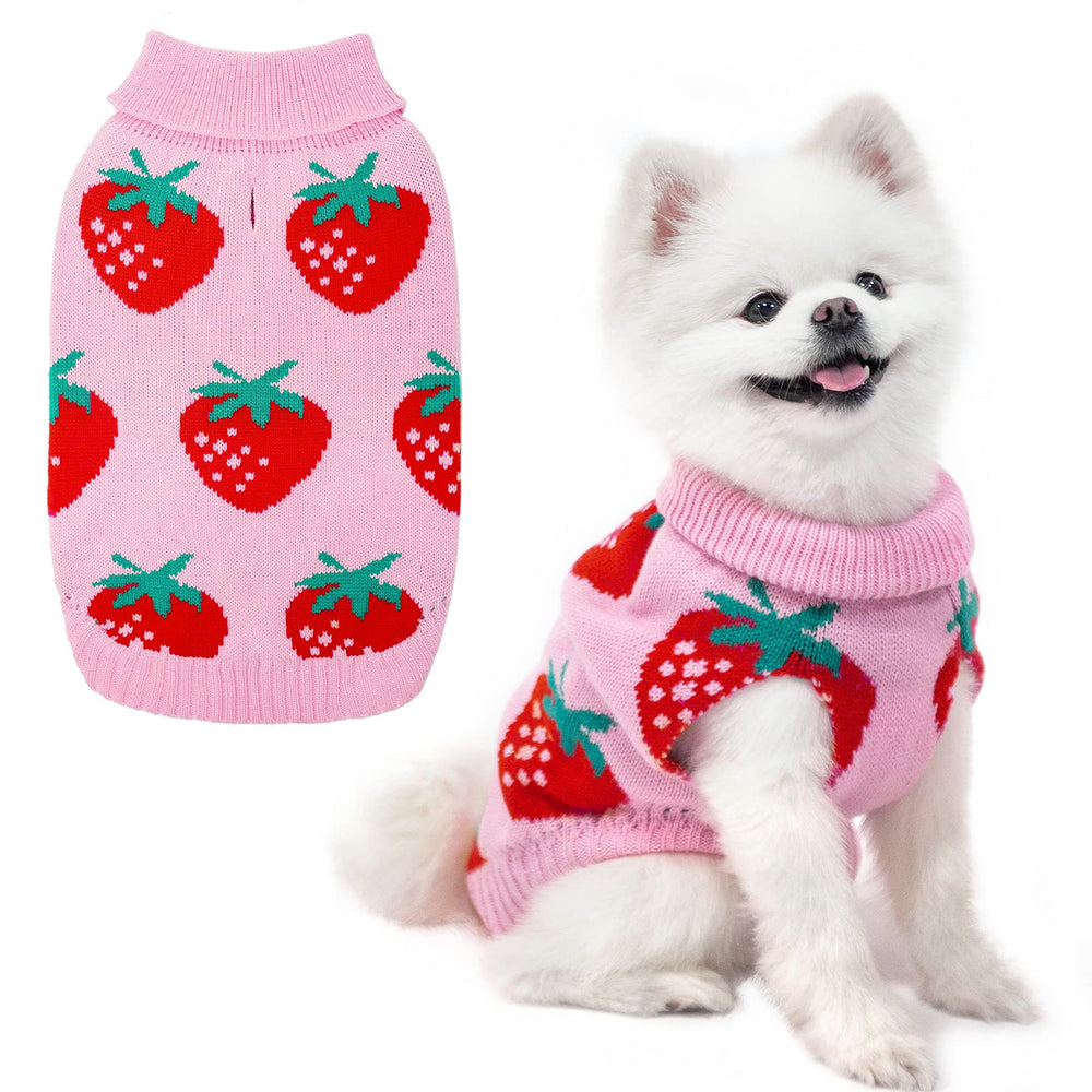 SCIROKKO dog sweater pink strawberry front view offers warm, charming look for small dogs.