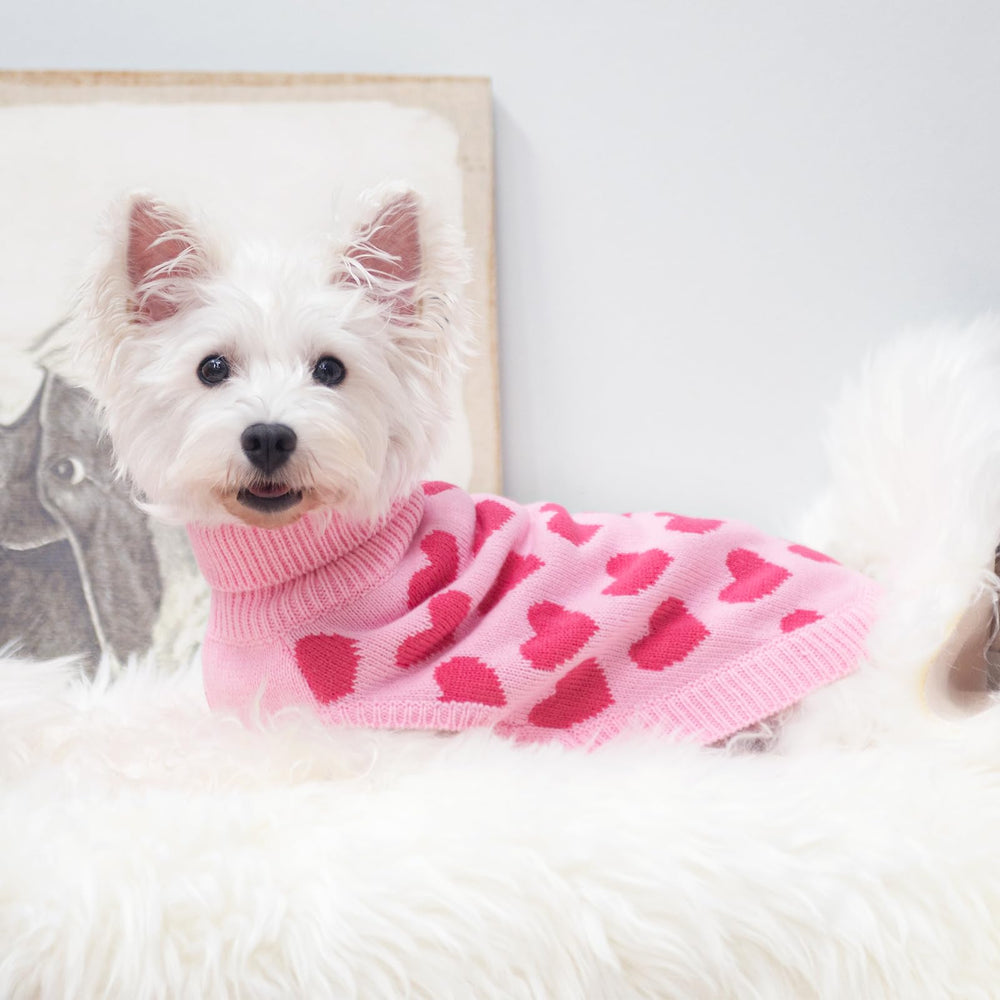 SCIROKKO dog sweater size-guide helps you find the best fit.