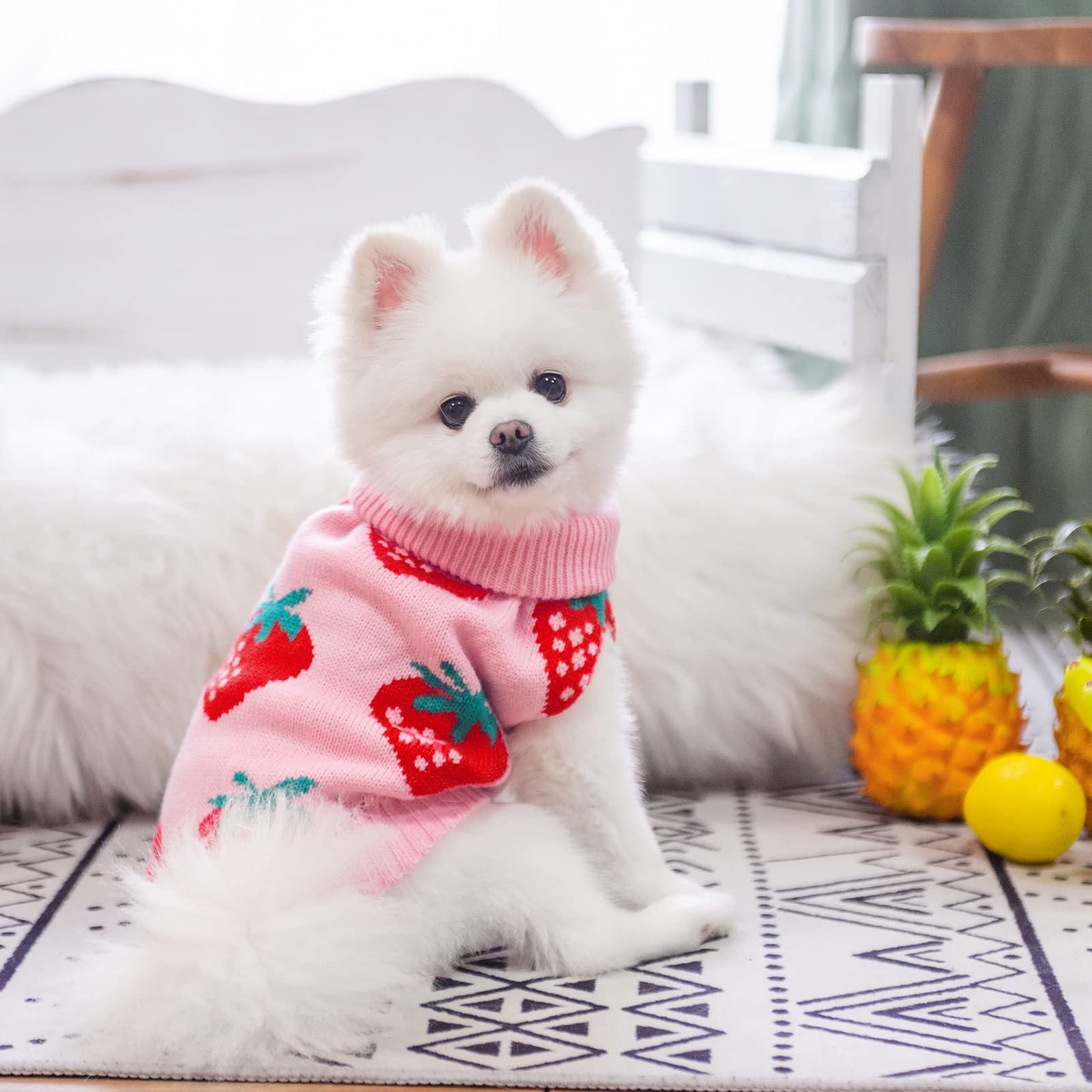 SCIROKKO dog sweater size options S SM M for precise fit