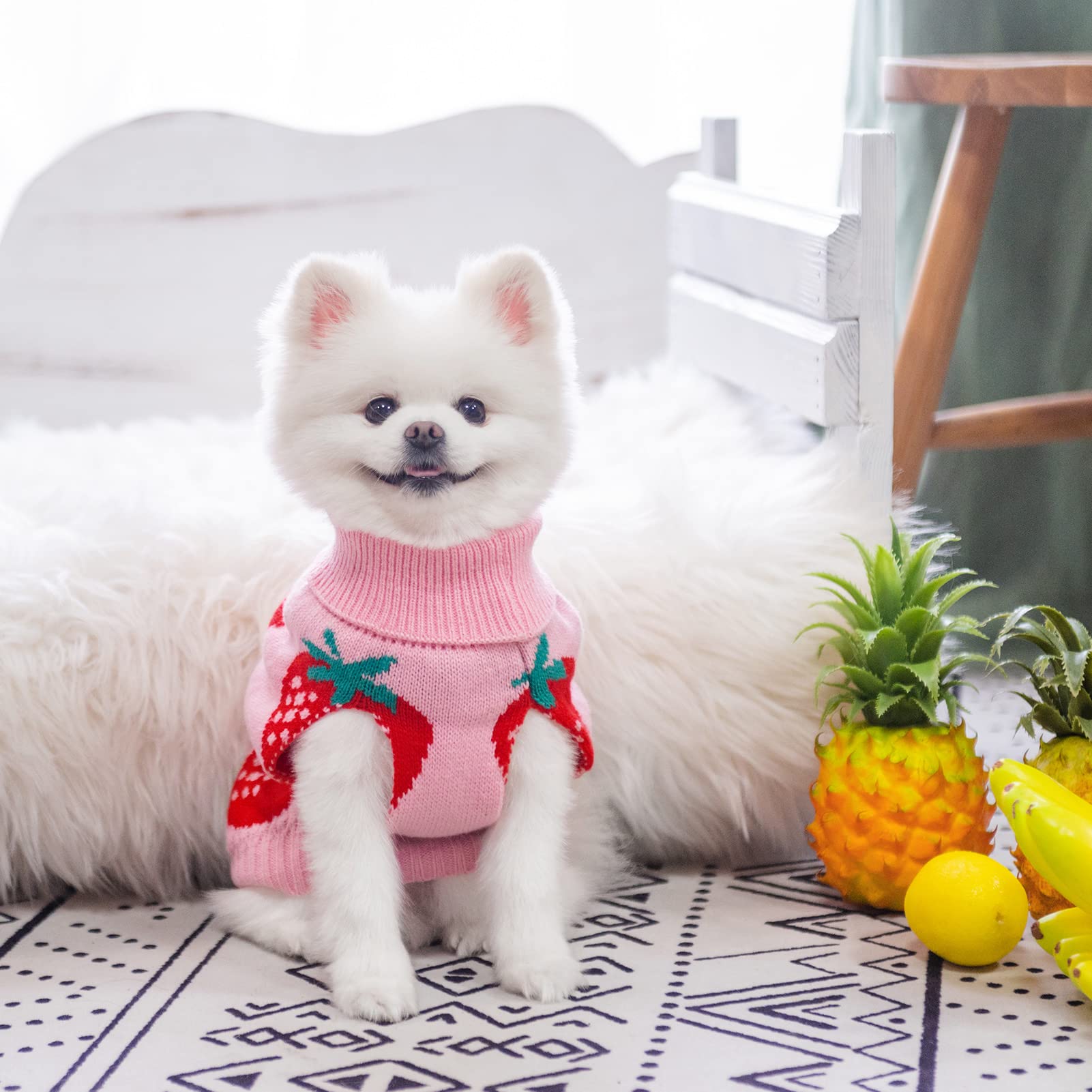 SCIROKKO warm acrylic knit keeps small dogs comfortable outdoors