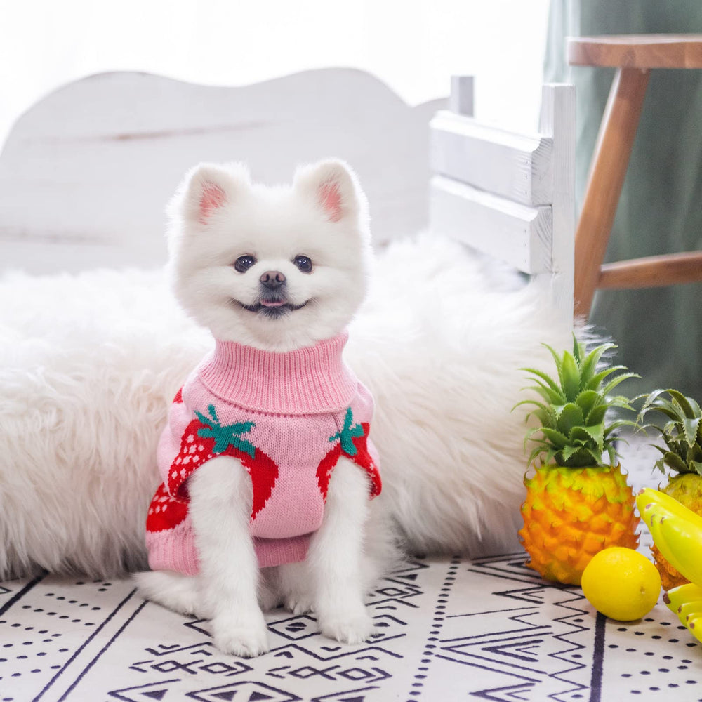 SCIROKKO warm acrylic knit keeps small dogs comfortable outdoors