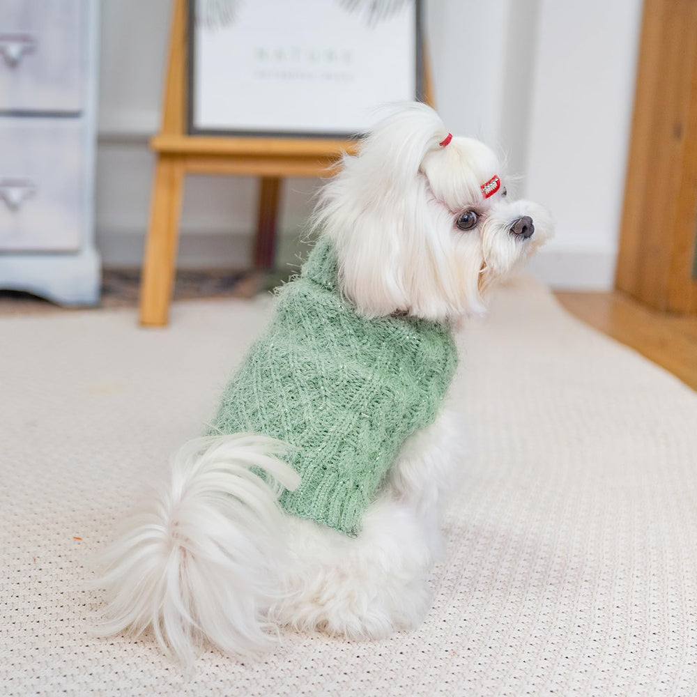 SCIROKKO green color turtleneck sweater on dog for everyday wear.
