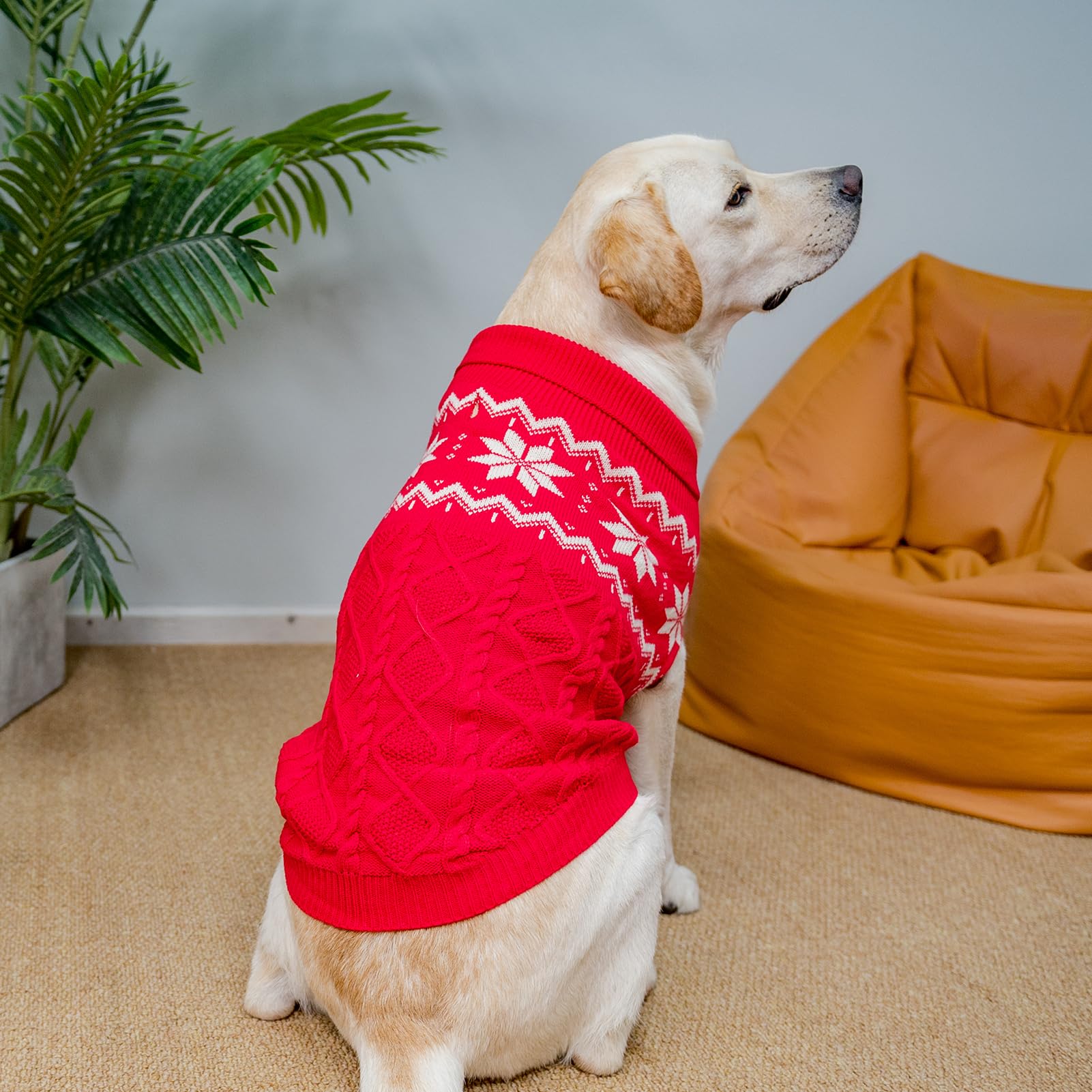 SCIROKKO warm winter dog sweater knit close-up highlights soft acrylic warmth.