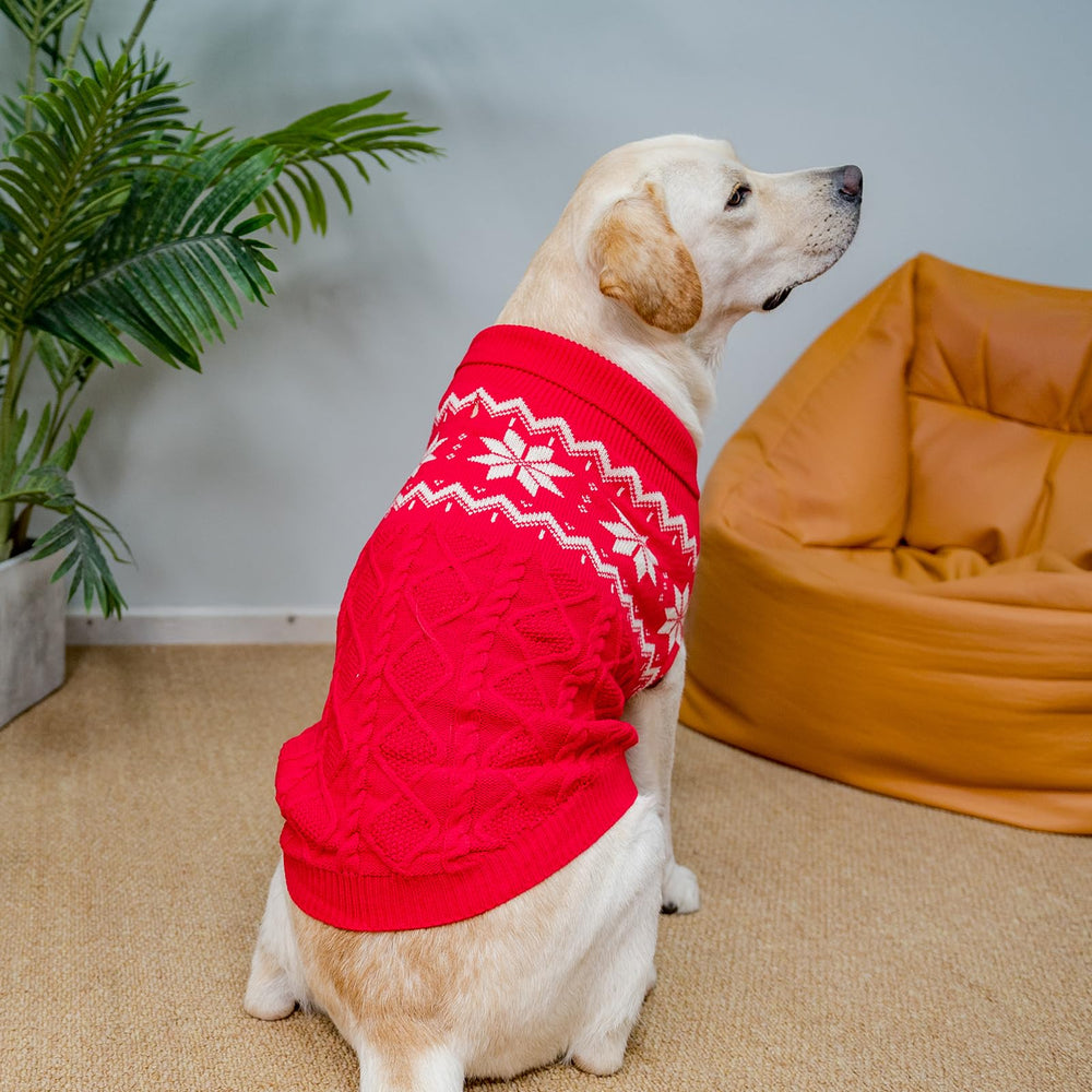 SCIROKKO warm winter dog sweater knit close-up highlights soft acrylic warmth.