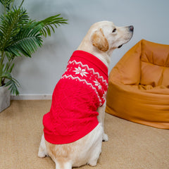 SCIROKKO warm winter dog sweater knit close-up highlights soft acrylic warmth.