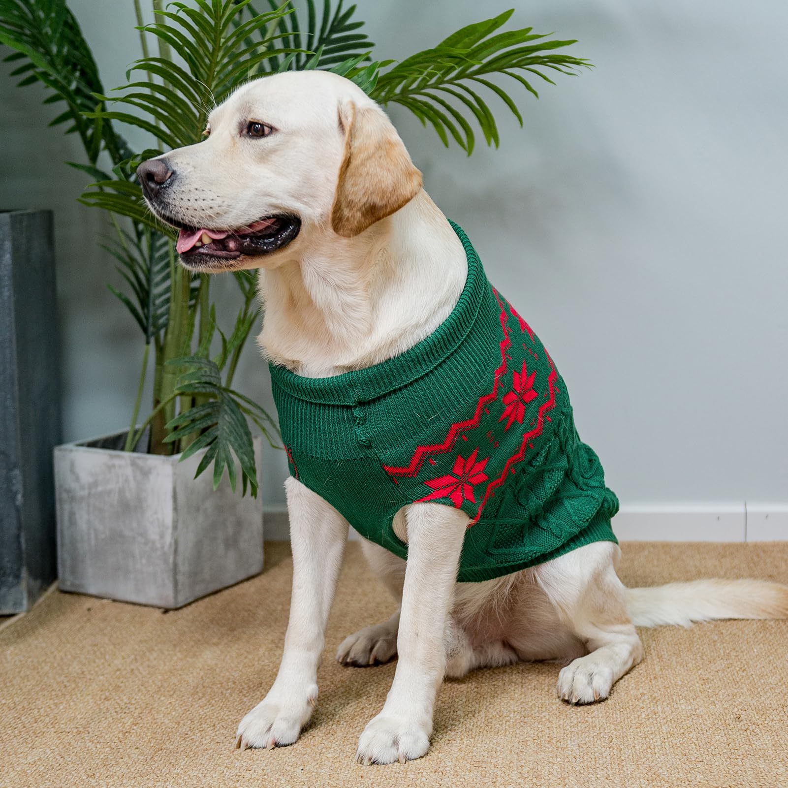 SCIROKKO Warm Winter Dog Sweater knit pattern emphasizes fashionable versatile design