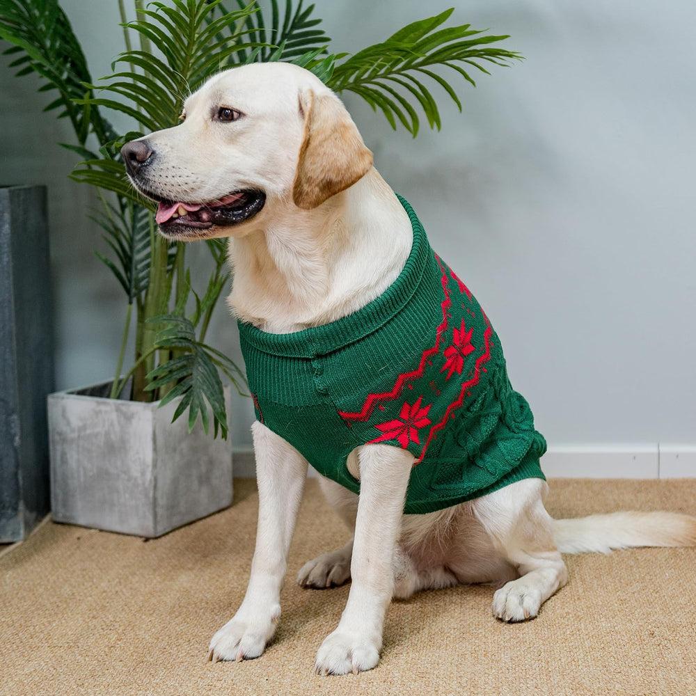 SCIROKKO Warm Winter dog sweater lapel detail adds warmth without restricting movement.