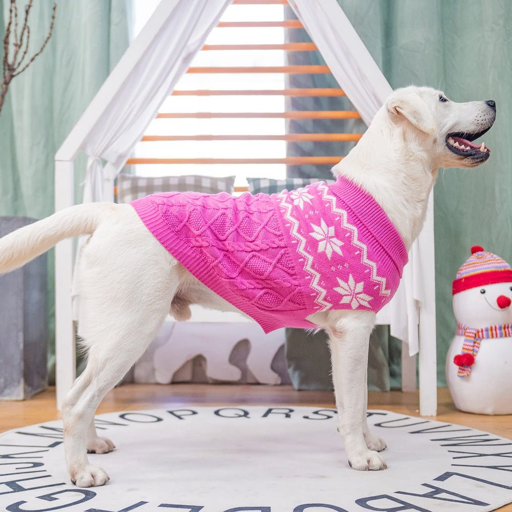 SCIROKKO pink knit coat seen from back view during outdoor wear.