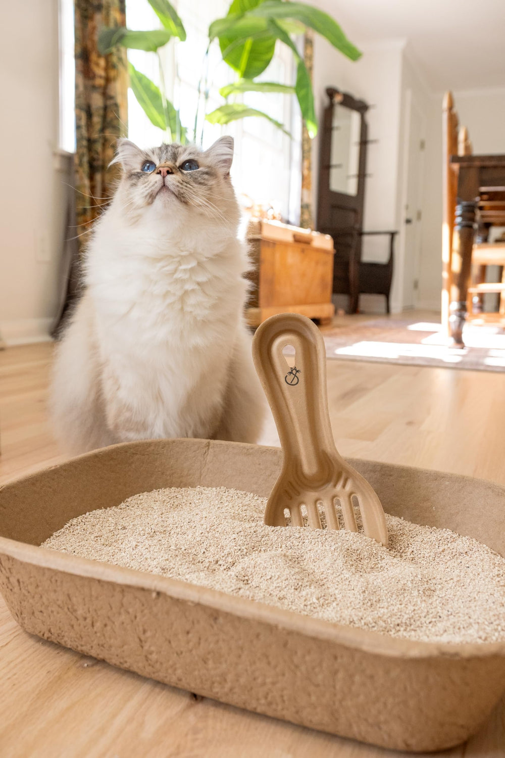 Scooples plastic-free scoop with vented, smooth-edge bowl to protect liners.