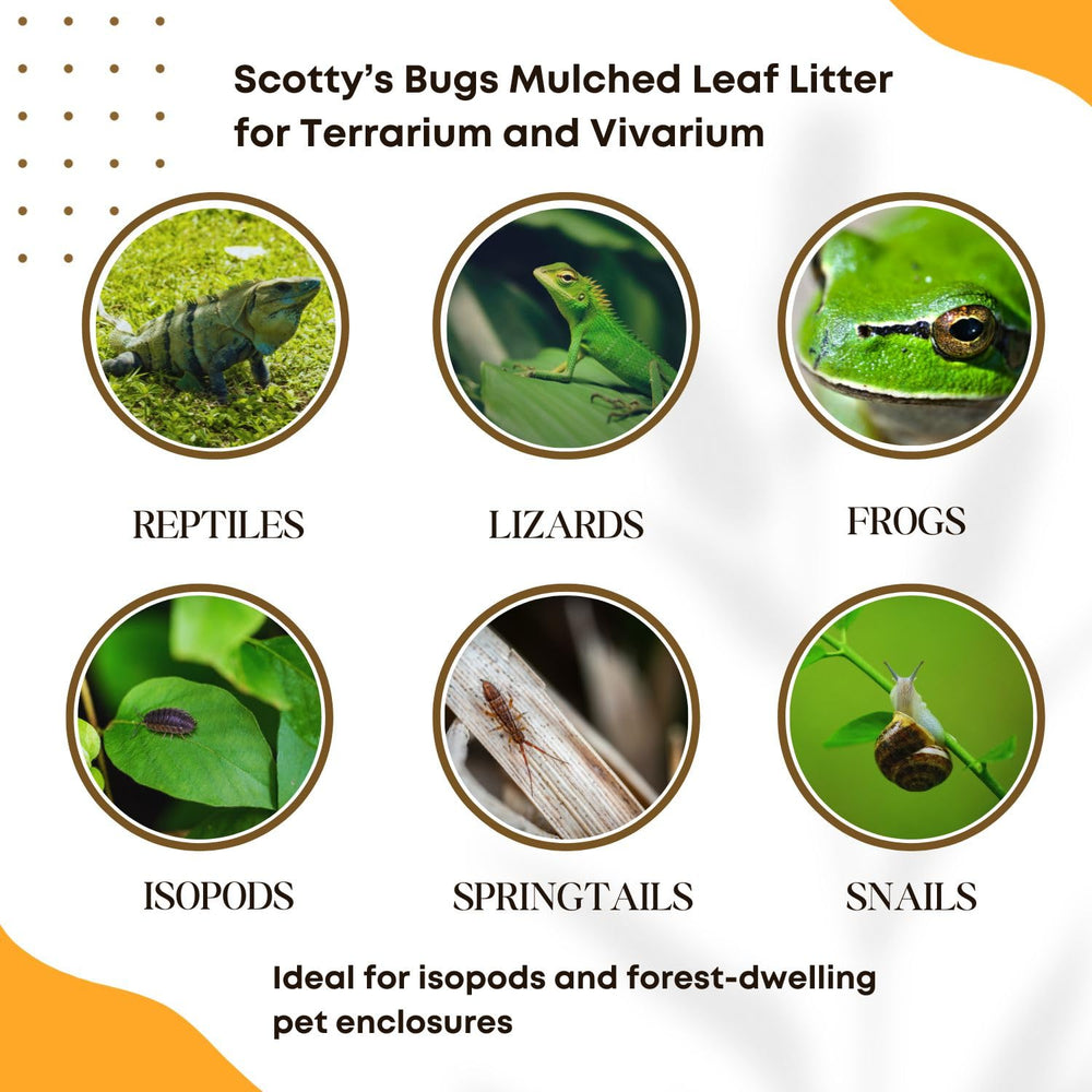 SCOTTY'S BUGS leaf litter provides safe shelter for detritivores and small amphibians.
