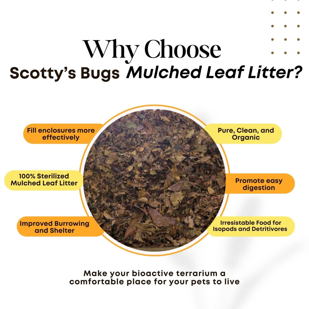 SCOTTY'S BUGS leaf litter in terrarium habitat showing natural hiding spots.