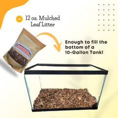 SCOTTY'S BUGS mulched leaf litter accelerates nutrient-rich composting in bioactive terrariums.