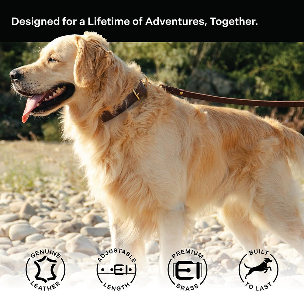 Scout Supply Co leather collar closeup highlights durable brass hardware that resists rust