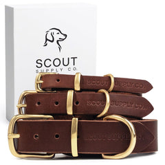 Scout Supply Co Classic Leather Collar closeup shows buttery full-grain leather for daily comfort