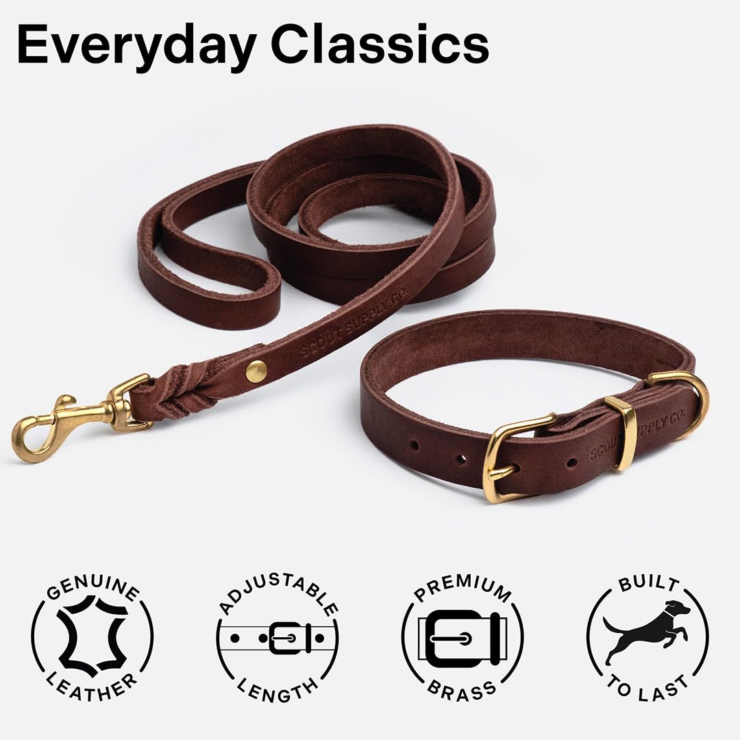 Scout Supply Co versatile leather collar for day to night wear