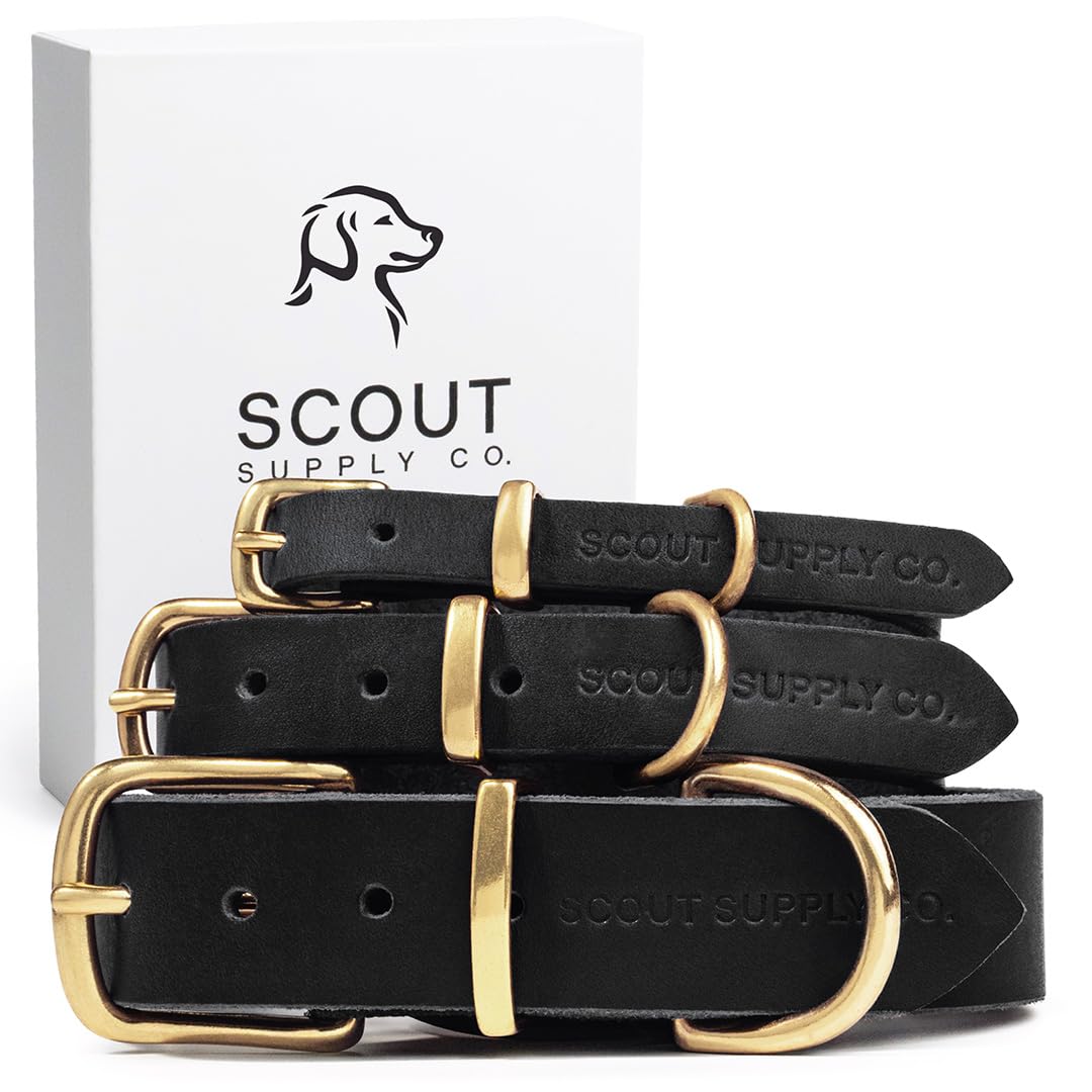 Scout Supply Co. Classic Leather Collar front view shows durable full-grain leather for daily wear.
