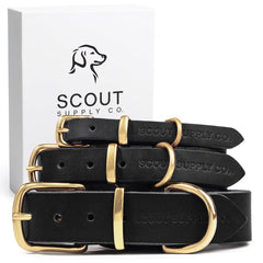 Scout Supply Co. Classic Leather Collar front view shows durable full-grain leather for daily wear.