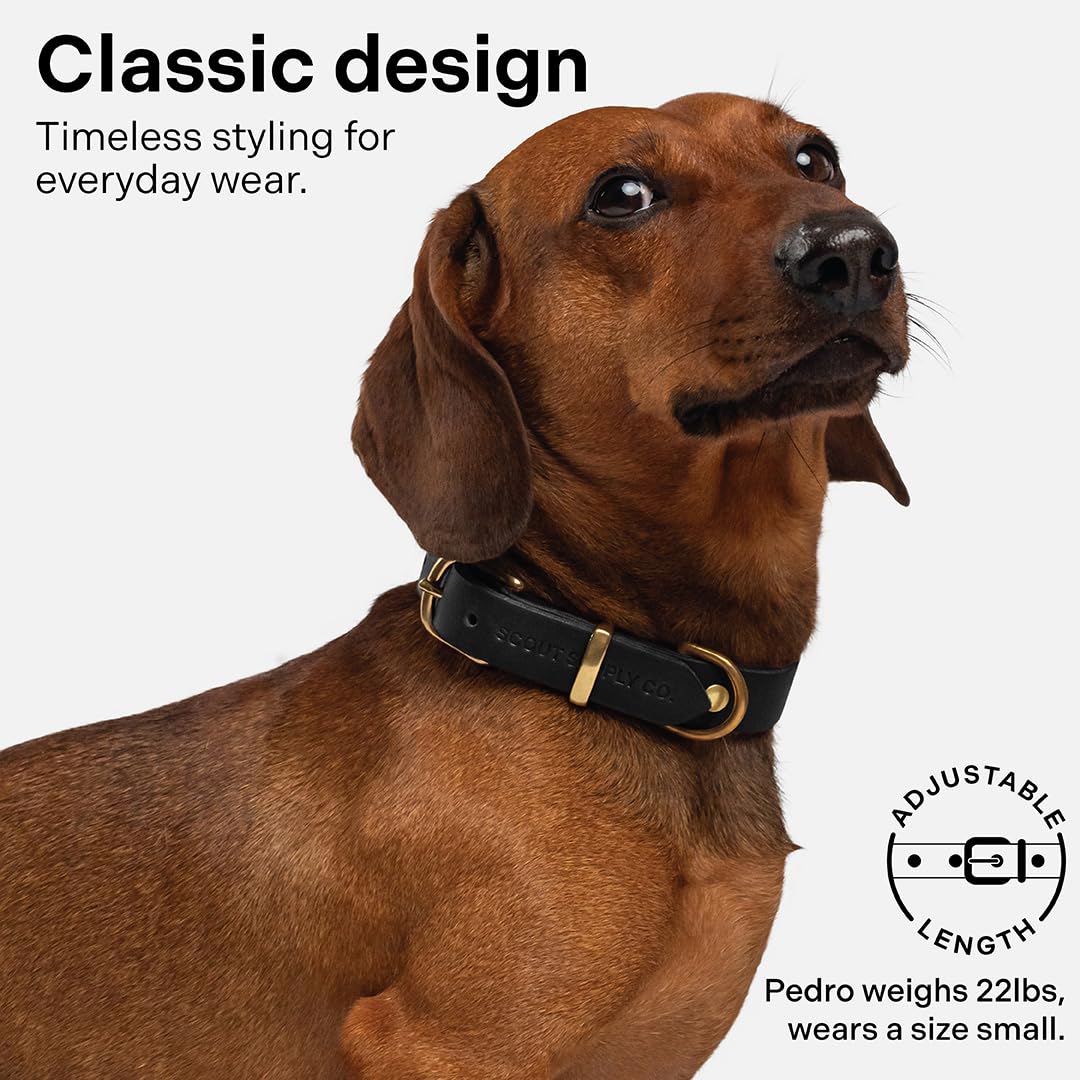 Scout Supply Co. Leather Collar neck-measure shot guides proper sizing for a secure fit.