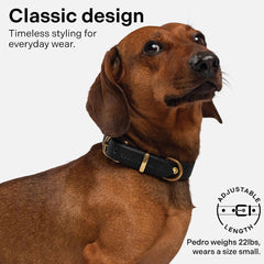 Scout Supply Co. Leather Collar neck-measure shot guides proper sizing for a secure fit.