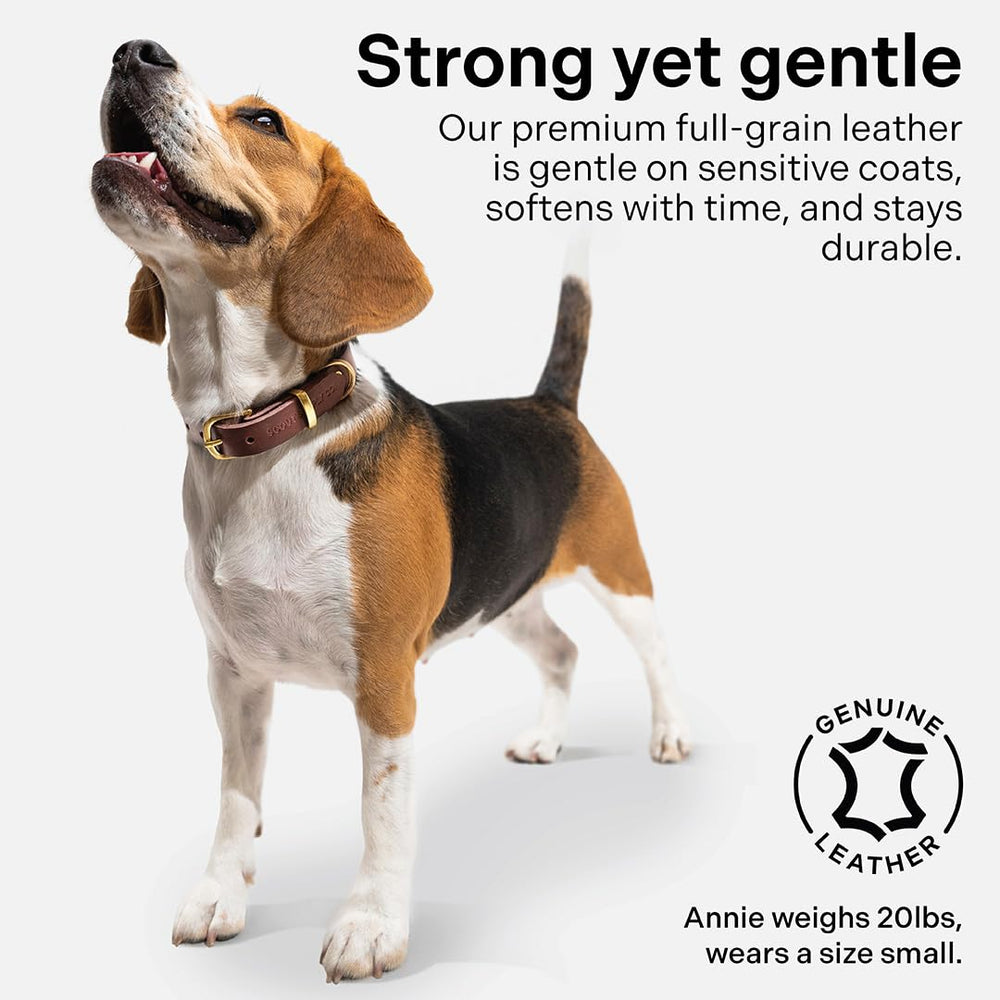 Scout Supply Co Classic Leather Collar patina development over time adds unique character