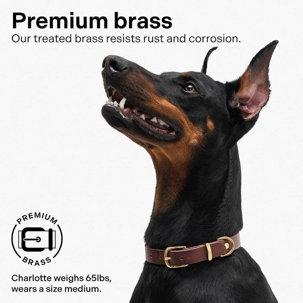 Scout Supply Co closeup of edge and stitching highlights comfort-friendly design