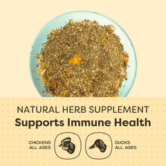 Scratch-and-Peck dried herbs close-up on egg yolk color tint from natural ingredients.