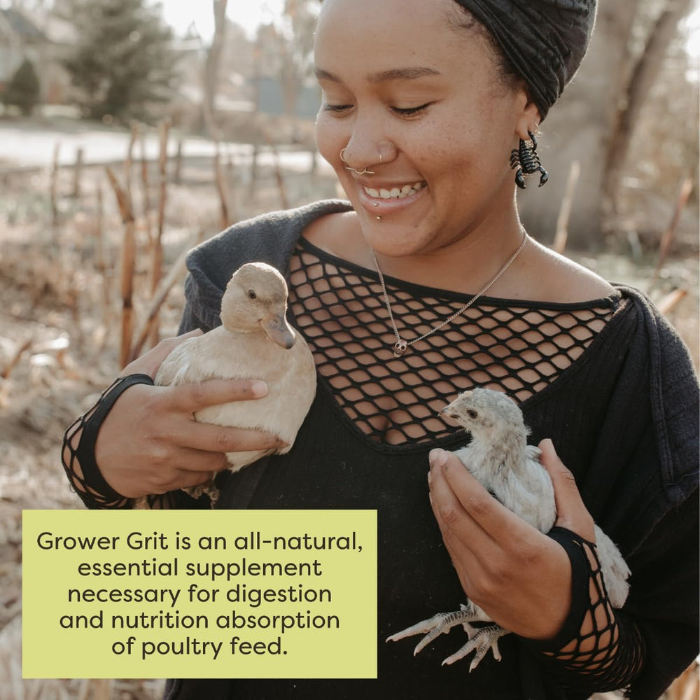 Grit in a dish for age-appropriate feeding of growing birds