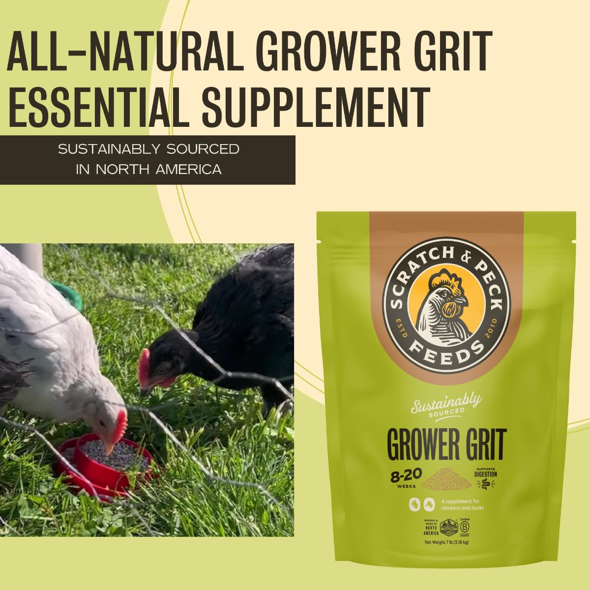 Grower Grit dry grains mix illustrating poultry nutrition in action