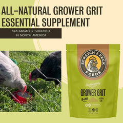 Grower Grit dry grains mix illustrating poultry nutrition in action