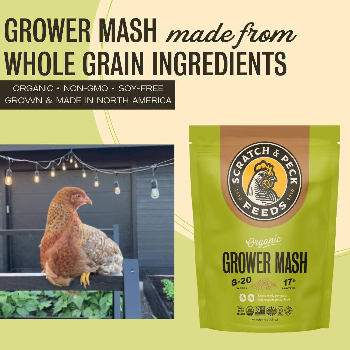 Scratch and Peck ingredients closeup reveals whole grains and transparency