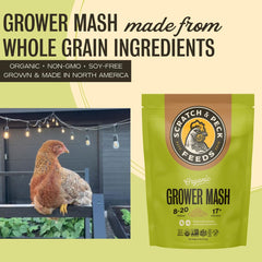Scratch and Peck ingredients closeup reveals whole grains and transparency