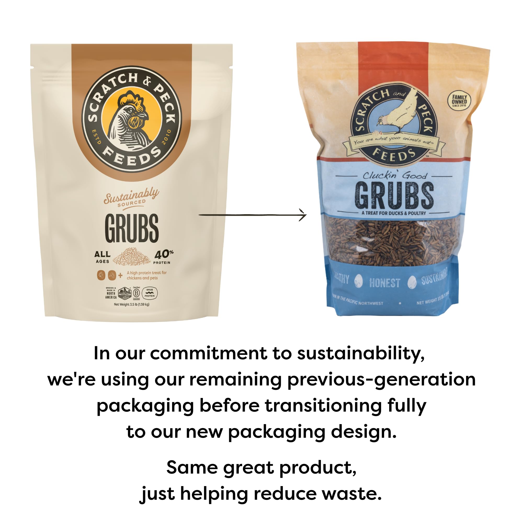 Scratch and Peck Grubs scooped for feeding chickens, promoting feather health.