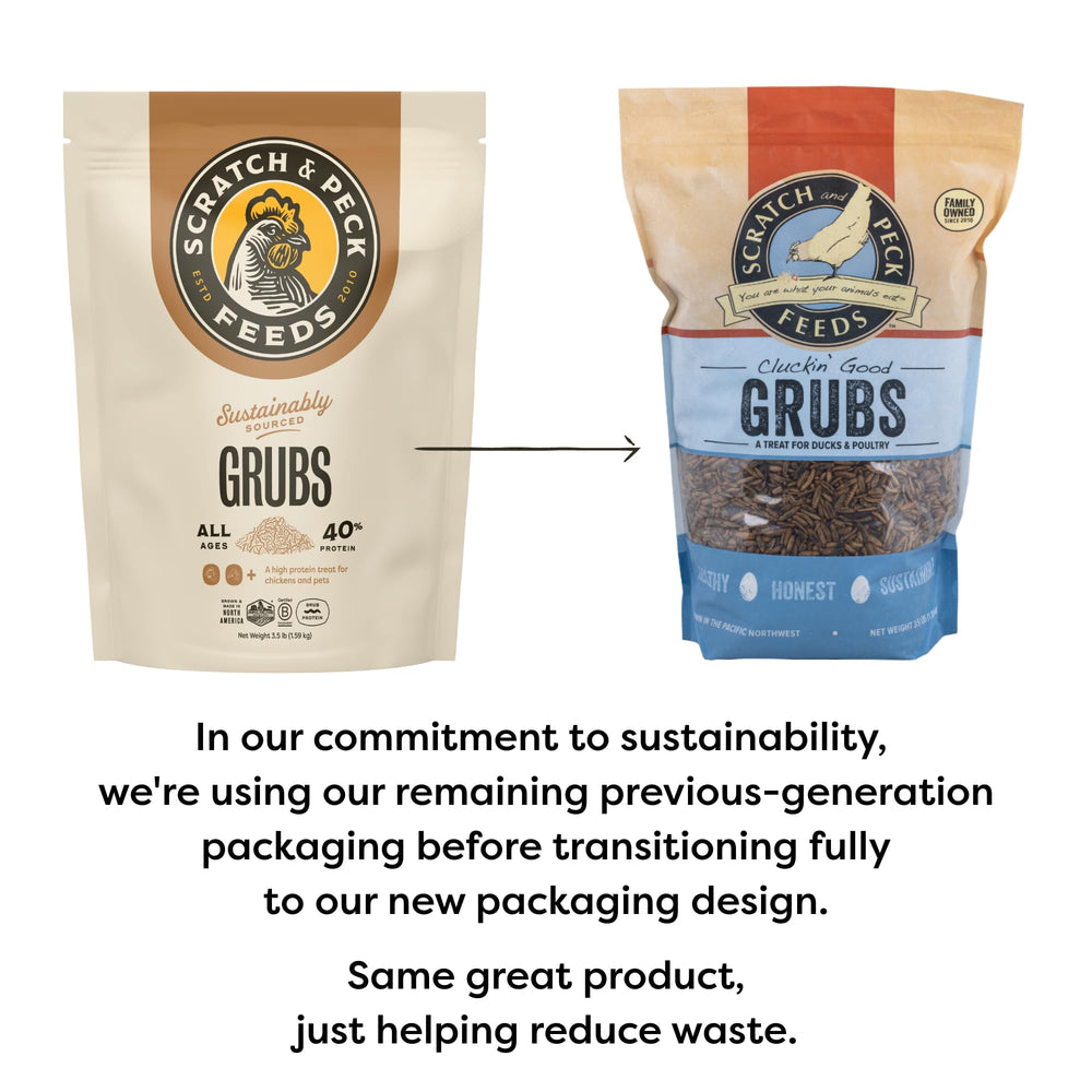 Scratch and Peck Grubs scooped for feeding chickens, promoting feather health.