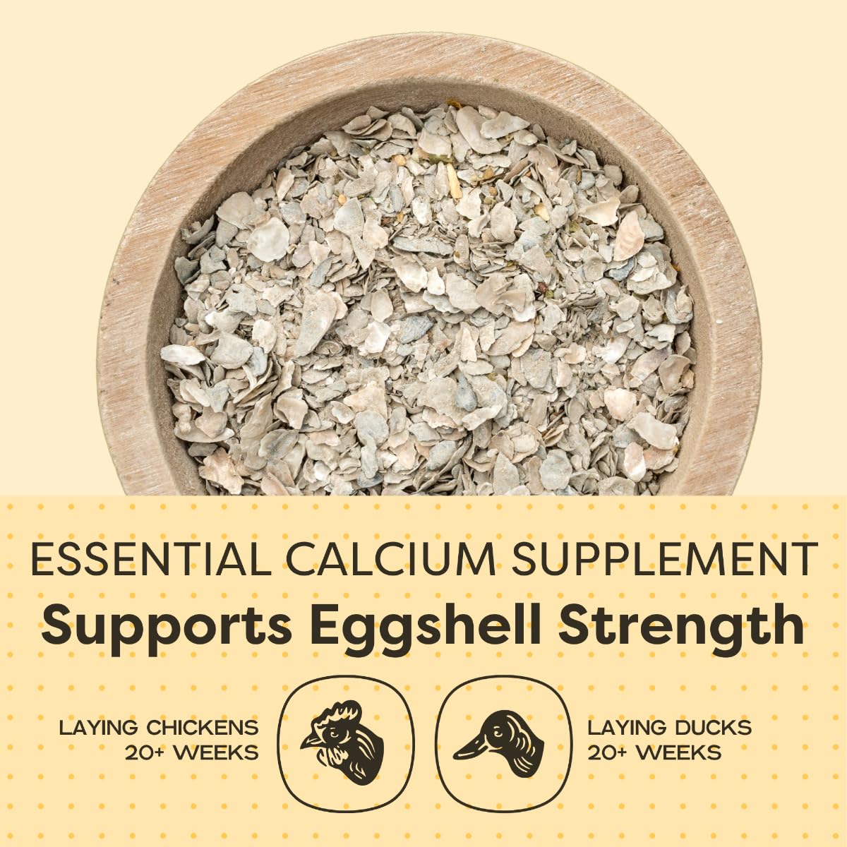 Scratch and Peck Oyster Shell Supplement in feeder demonstrates easy flock supplementation.