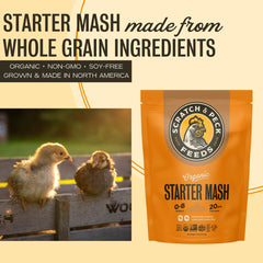 Scratch and Peck Starter Mash fermenting bowl supports balanced feeding during fermentation.