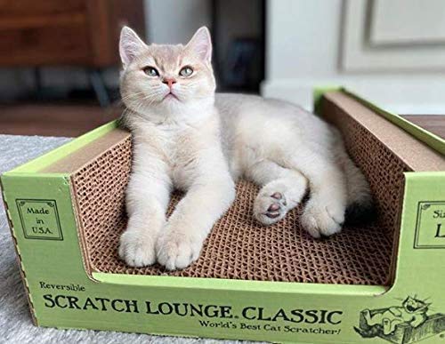 Scratch Lounge XL cat-nest-use image illustrates lounging and sleeping comfort for content cats.