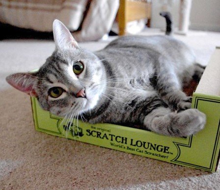 Scratch Lounge XL packaging and instructions showcase easy setup and recyclable materials.