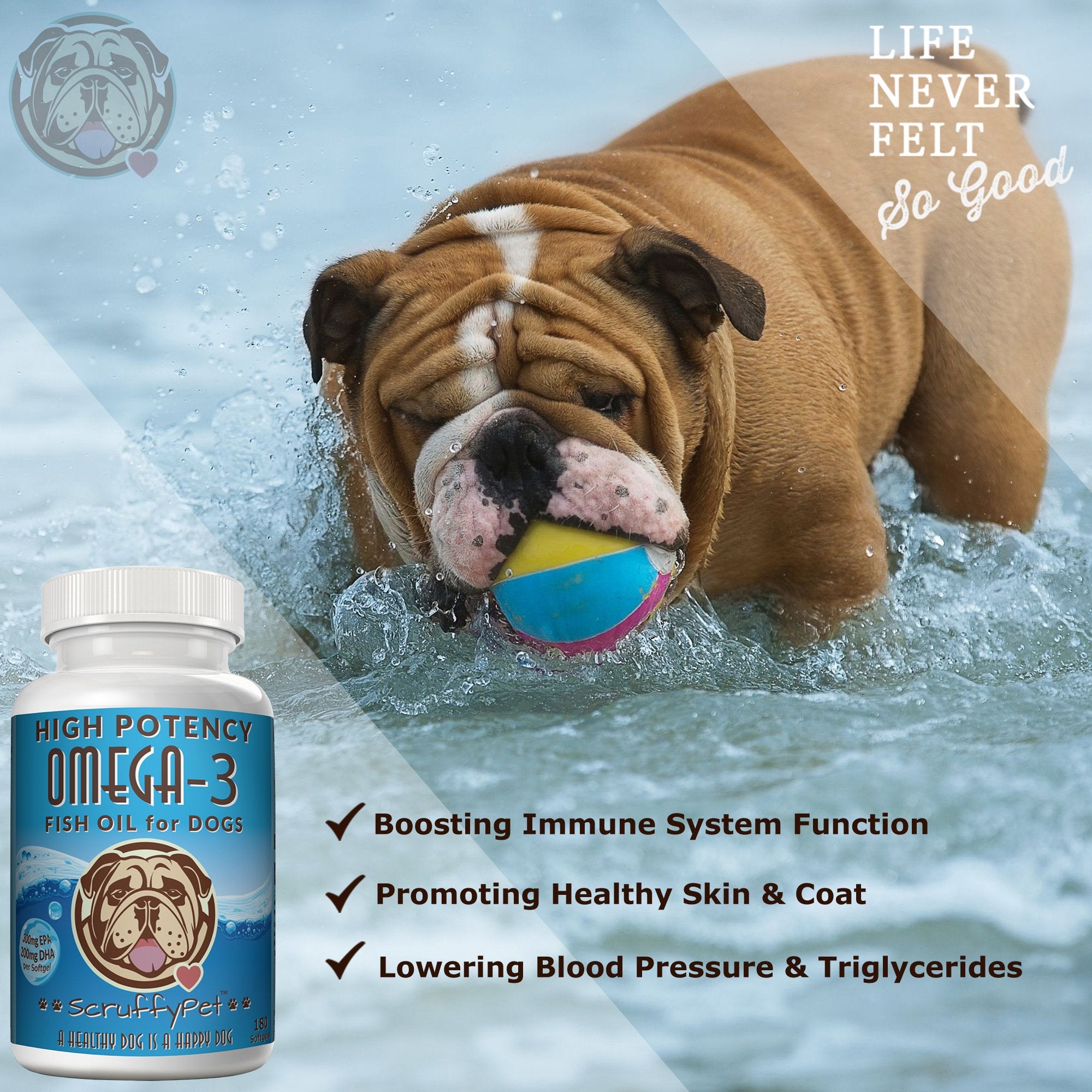 ScruffyPet omega-3 boosts brain function and mood.