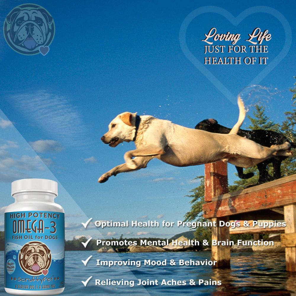 ScruffyPet omega-3 for pregnant dogs supports fetal development.
