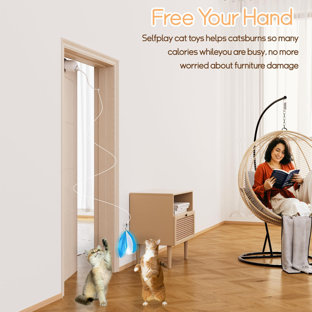 Scsuupoee feather accessories provide varied play and enrichment for curious cats