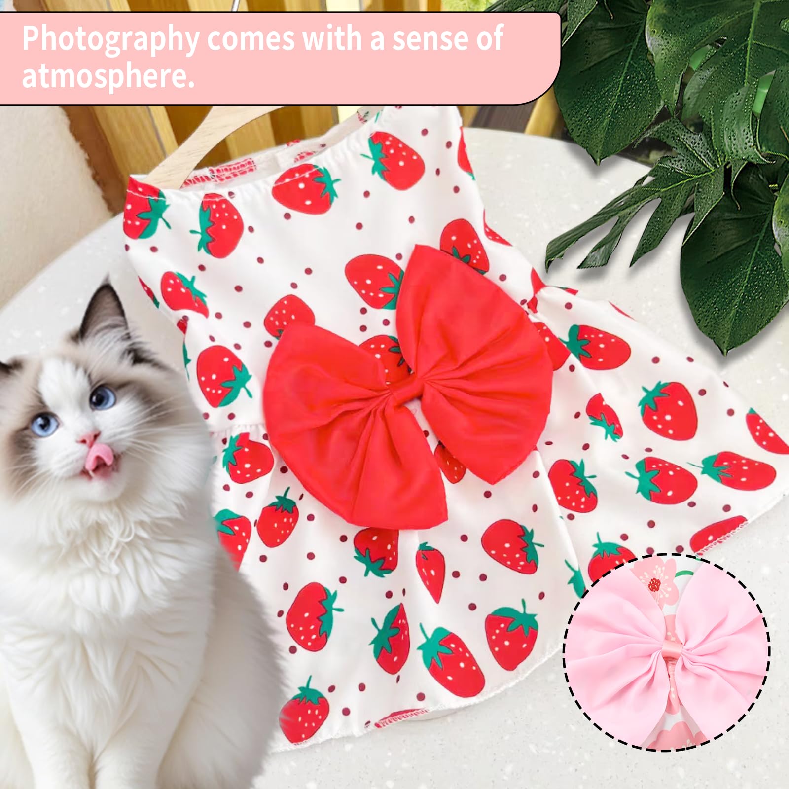 Sdfvsdg floral dog dress on dog shows comfortable fit for small breeds