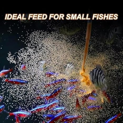 Sea Monkey Eggs incubation setup under ideal temperature and pH for best results.