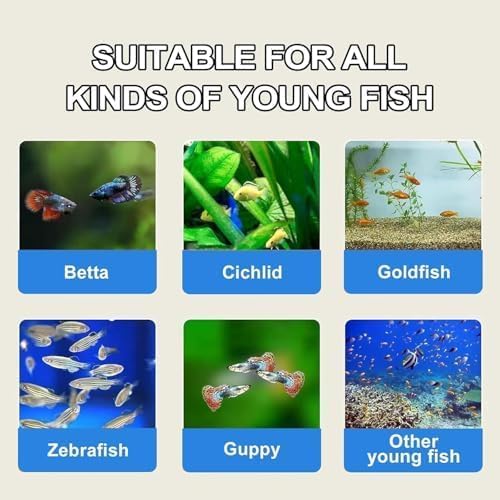 Sea Monkey Eggs sealed packaging keeps eggs fresh for reliable hatching.