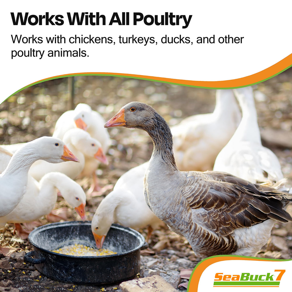 SEABUCK7 feed-mixing scene showing easy daily sprinkle for flock health