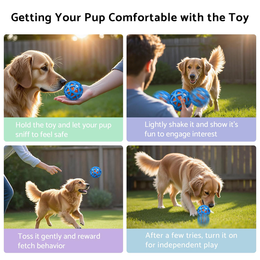 seagi interactive dog toy ball blue inside-treat tip demonstrates first-play setup