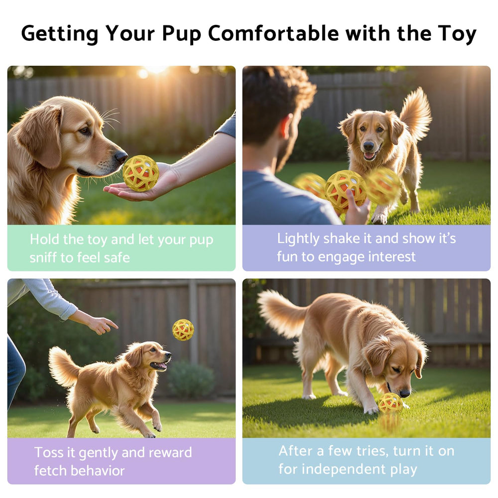 seagi interactive dog toy ball onboarding tips ease introduction.