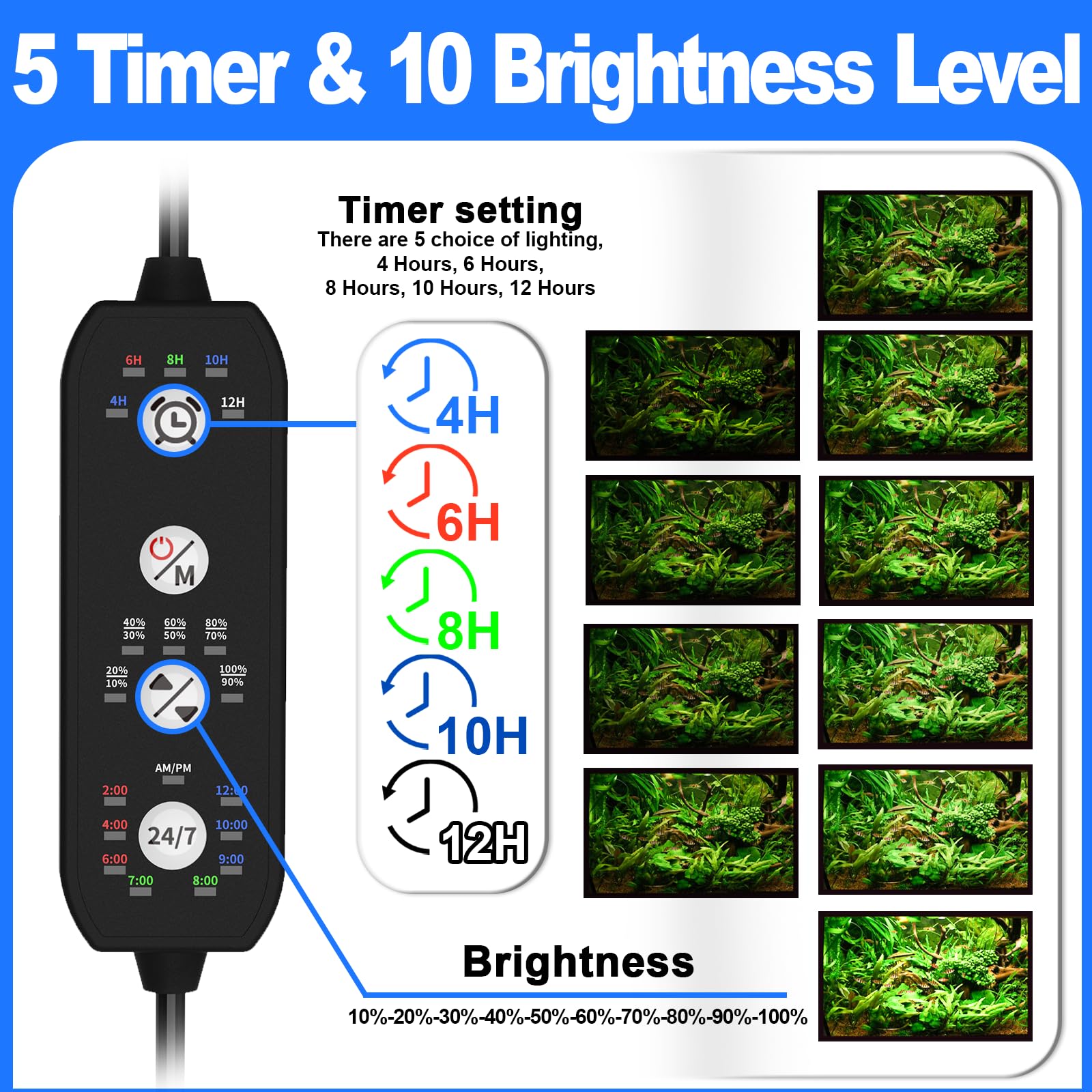 SEAOURA 24/7 cycle preview helps fine-tune color and brightness.