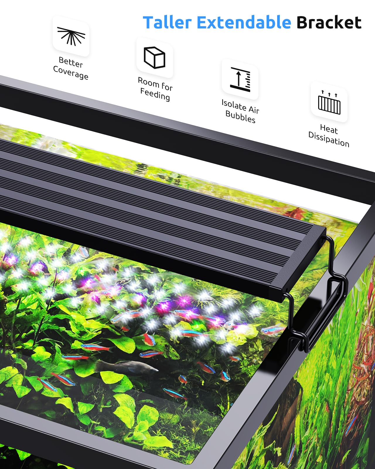 SEAOURA plant-friendly LED spectrum boosts photosynthesis without stressing tank life
